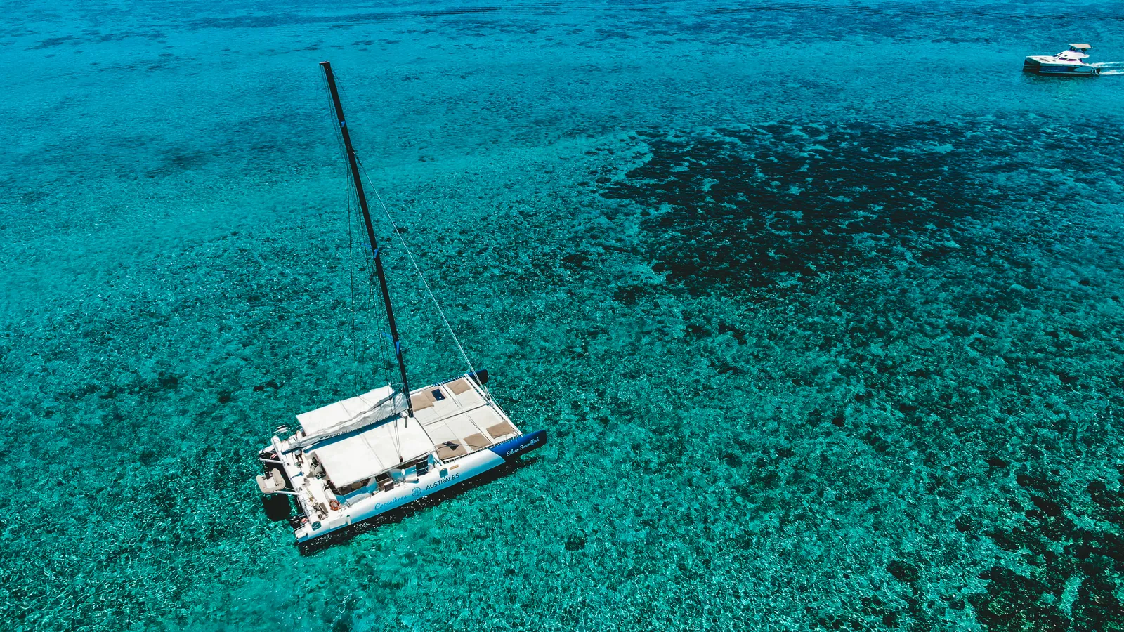 Aerial view of a catamaran over clear turquoise water.