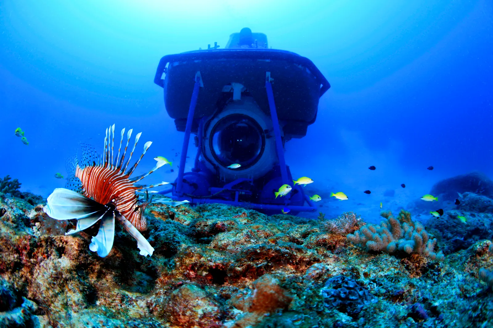 Front view of a submarine above a reef with fish in the foreground.