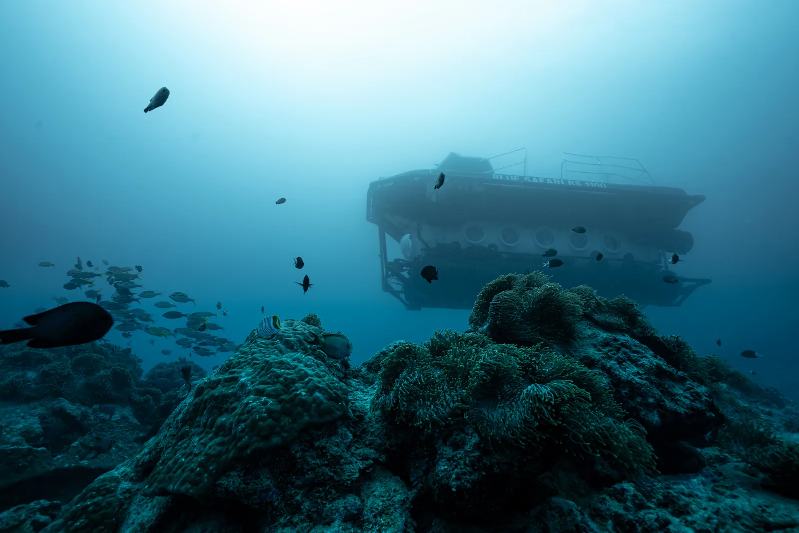A submarine seen beyond the reef underwater.